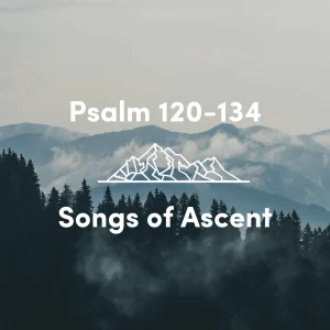 Psalm 132 – Blessings FOR Zion